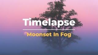 Timelapse | Moonset In Fog - 4K | Netherlands