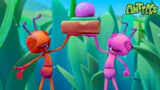 That's The Way The Cookie Crumbles  Cartoons For Kids | Animal Learning | Antiks | After School