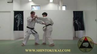 Okinawa Shorin-ryu Karate: Parent Style of Shotokan (clip 8)