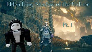Elden Ring: Shadow of the Erdtree pt. 1 (Shadowflame Dragon & Divine Beast Dancing Lion)