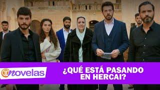 TM NOVELAS | ¿QUÉ ESTA PASANDO EN HERCAI?