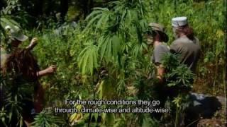 Strain Hunters India Expedition (FULL HD MOVIE)