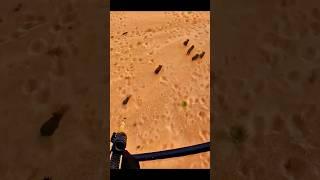 "Wild Boar Hunting Shots That Will Shock You!" #hunter #wildboar #hunting #shots #in the forest