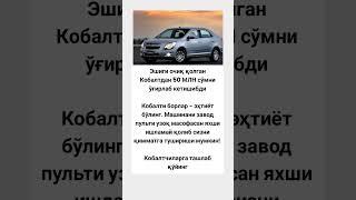 Ana Xalos Kobalt #rek #tiktok #memes #rekkkkkk #новости #video #ytshorts #shorts