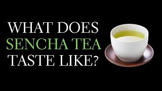 What Does Japanese Green Tea Taste Like? Describing the Sencha Taste