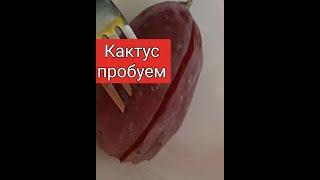 Купила плод кактуса и пробую на вкус