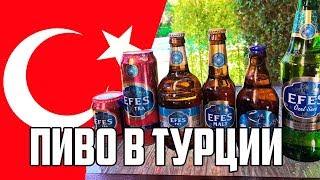 Что пить в Турции? Обзор пива EFES