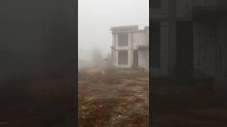 Фазан в полете #казахстан #алматы #фазан #птица #звукиприроды #природа
