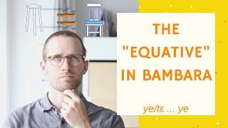 Equatives: How to say "to be" in Bambara and Dioula (ye/tɛ...ye) | Basic Bambara 9