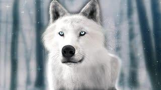 Sleep Meditation for Kids | MEETING YOUR SNOW WOLF | Spirit Animal Guided Meditation