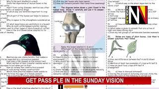 Pass PLE in the Sunday Vision July 19 2020