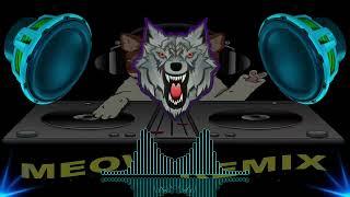 MEOW MEOW CAT RIDE MOTOR MUSICMIX BATTLEMIX 2024 Dj ECE CANUMAY REMIX