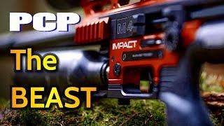 FX Impact M4 the BEST PCP RIFLE FOR AIR GUNS?