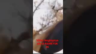 amateur video of russian missiles attack ukraineAWESOME!!!!!