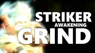 Awakening Striker PVE Guide - Black Desert