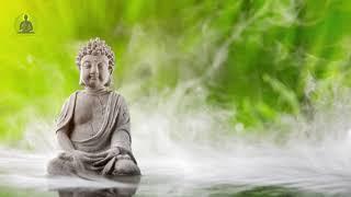 "Inner Peace & Balance" Deep Meditation Music l Healing Music Relax Mind Body l Soothing Relax