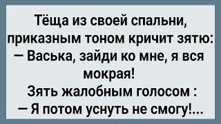 Как Теща По Ночам к Себе Зятя Звала! Сборник Свежих Анекдотов! Юмор!