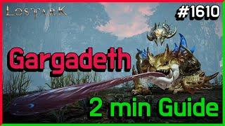 2 min Guide - Gargadeth Guardian Raid