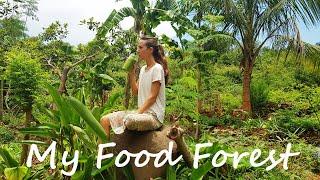 MY FOOD FOREST | what I grow and eat from my garden