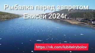 УСПЕТЬ ДО ЗАПРЕТА! ЛОВИМ ХАРИУСА НА СТАНОВОМ ЯКОРЕ! ЕНИСЕЙ 2024г.