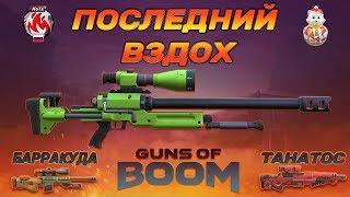 СНАЙПЕРСКАЯ ВИНТОВКА ПВ [Guns of Boom]