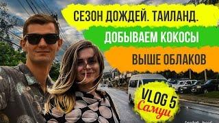 VloG 5: Таиланд, Самуи. Сезон дождей / Горы / Добываем кокосы/