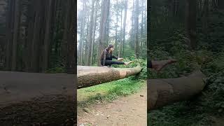 Mastering the art of balance. #treeyoga #yogabalance #nature