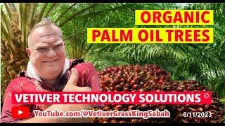 Breakthrough ORGANIC innovation. A symbiotic partnership with VETIVER GRASS  SOLUTION'S  7/1/2024