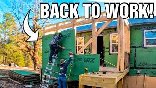 The Walls Are Closing In! |MudRoom Walls SHEATHED On Our Cabin Homestead Build!