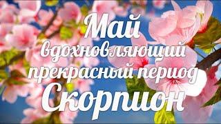 СКОРПИОНМАЙ 2021/Таро-прогноз/Таро-Гороскоп Скорпион/Taro_Horoscope Scorpiо/Spring/May 2021.