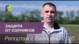 Защита кукурузы от сорняков: репортаж с БайАрены 2020