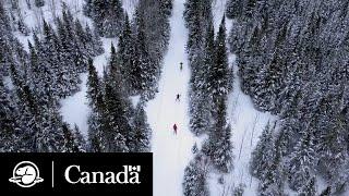 Have fun in La Mauricie National Park this winter! | Parks Canada