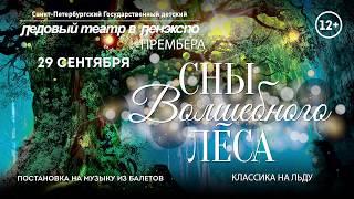 спектакль "Сны волшебного леса" Ледовый театр в Ленэкспо