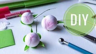 Пион из фоамирана. Бутоны пионов из фоамирана. How to make flowers - Foam flowers