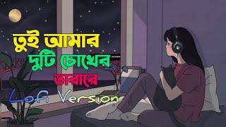 Tui Amar Duti Chokher Tara Re| তুই আমার দুটি চোখের তারারে | Lofi Version | Lyrics Video |