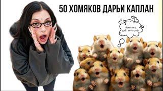 50 хомяков Дарьи Каплан
