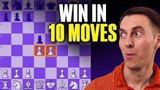 The Only Chess Opening Traps You Need to Know in the French Defense