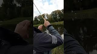 Reel Lucky John Anira Jig  #shortsclip #salmo #luckyjohn #youtube #estonia