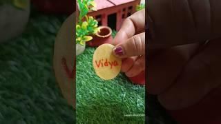 Vidya Pani Puri  #shortsfeed #shorts #entertainment