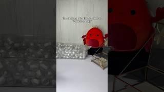 only RED order ️ #asmr #fidgets #mysteryscoop #haul #unboxing #smallbusiness