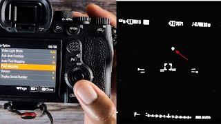 Sony A7IV, A7III, ZV-E10, A6600:  Does your Sony Mirrorless Camera Have a Dead Pixel? Try This!!!!