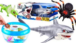 UNBOXING ROBO ALIVE GREAT WHITE SHARK , TARANTULA, ROBO FISH, TURTLE | ZURU | ASMR