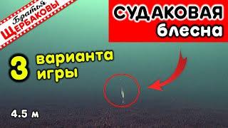 СУДАКОВАЯ блесна ВЛАСОВА. Три лучших варианта игры! ПОДВОДНЫЕ СЪЕМКИ!