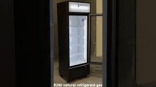 SDGR 22'' Black Swing Glass Door Merchandiser Refrigerator