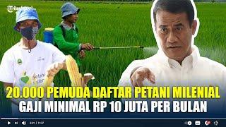 20.000 Pemuda Daftar Petani Milenial, Gaji Minimal Rp 10 Juta Per Bulan