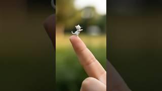 Tiny Mini Cat Singing APT #trending #apt #cat #funny #trend #viralsong #viralvideo #DreamScreenAI