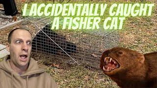 I Accidentally Caught a FISHER CAT!!!!