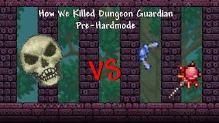 How We Killed Dungeon Guardian Pre-Hardmode