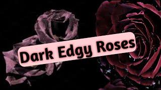 Best Rose Perfumes 2021 | Dark Rose Collection | Sexy, Edgy & Gothic