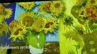 Van Gogh Immersive Experience in DC